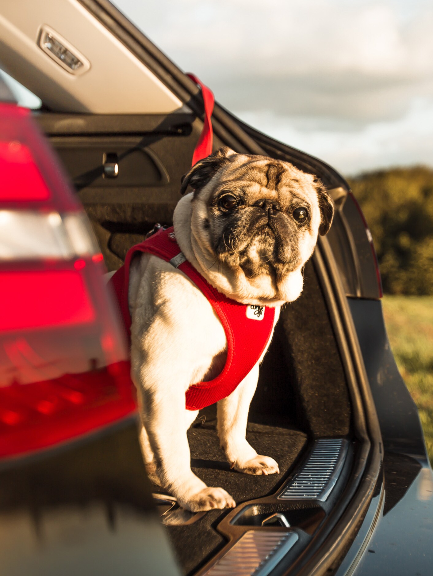 SUV Araçların Bilmeniz Gereken Avantajları
