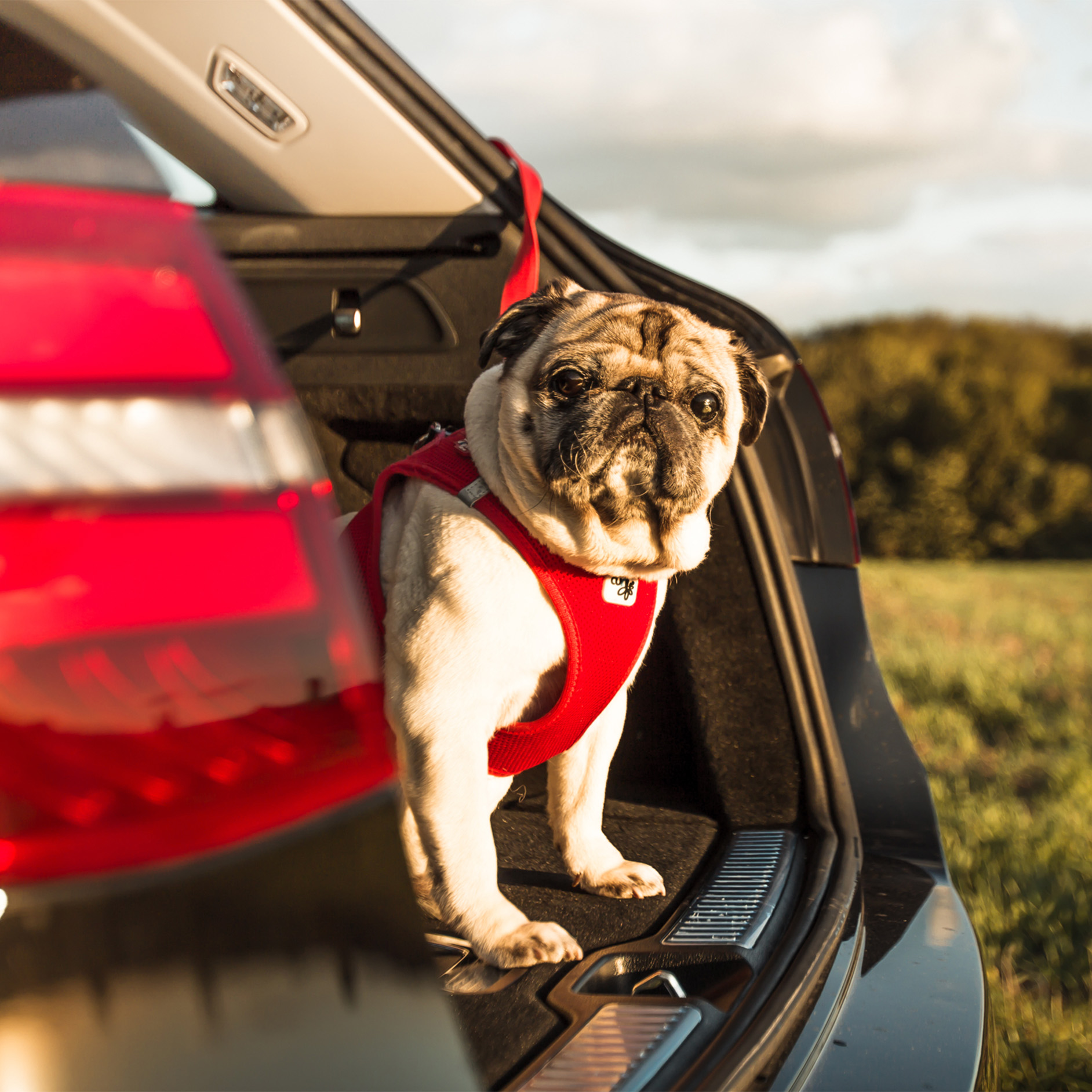SUV Araçların Bilmeniz Gereken Avantajları SUV Araçların Bilmeniz Gereken Avantajları