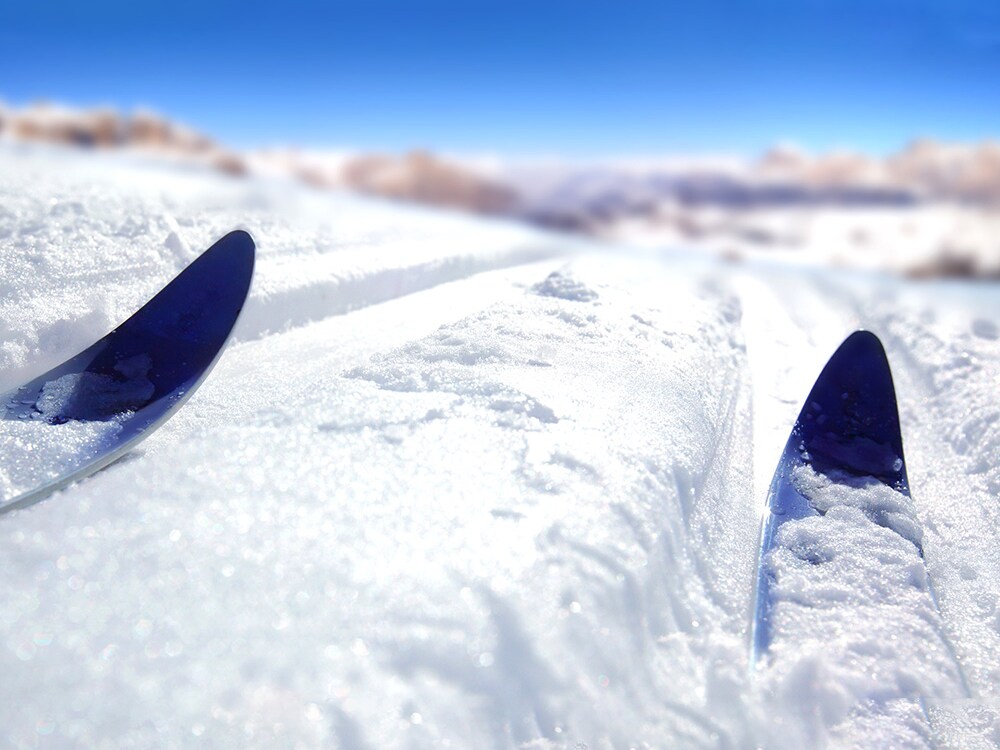 Kış Sporları: Snowblade